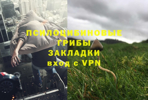 наркотики Богданович