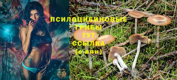 дурь Богородицк