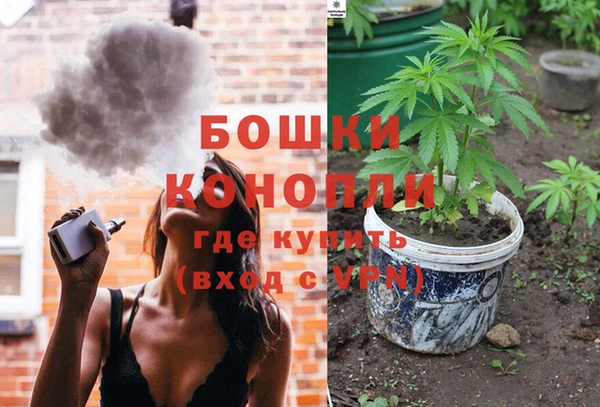 дурь Богородицк