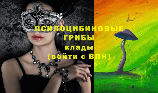 дурь Богородицк